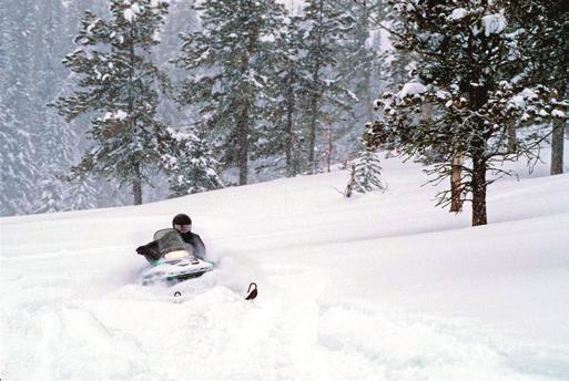 6 million of state GDP is attributable to the direct and indirect effects of snowmobiling.