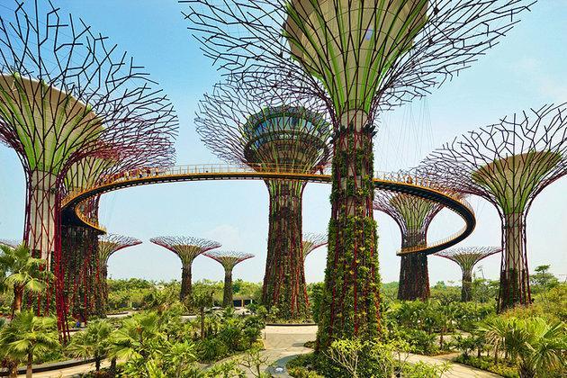 Major Attractions - Natural Gardens by the Bay - A
