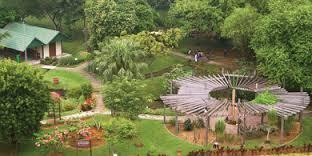 Major Attractions - Natural Eco Garden