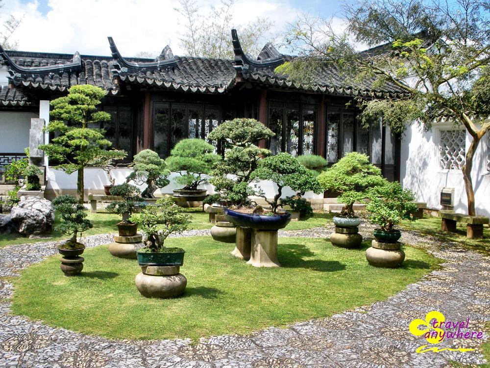 laboratory Chinese Garden - A garden
