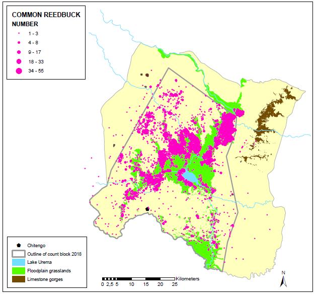 6: Spatial distribution of common reedbuck