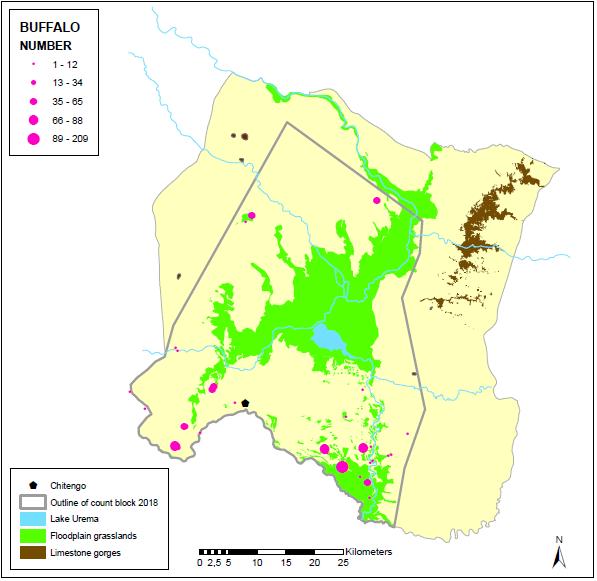 Fig. 8: Spatial distribution of buffalo 