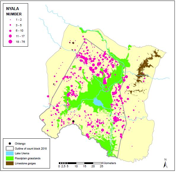 Fig. 12: Spatial distribution of nyala during the 2018 aerial wildlife count.