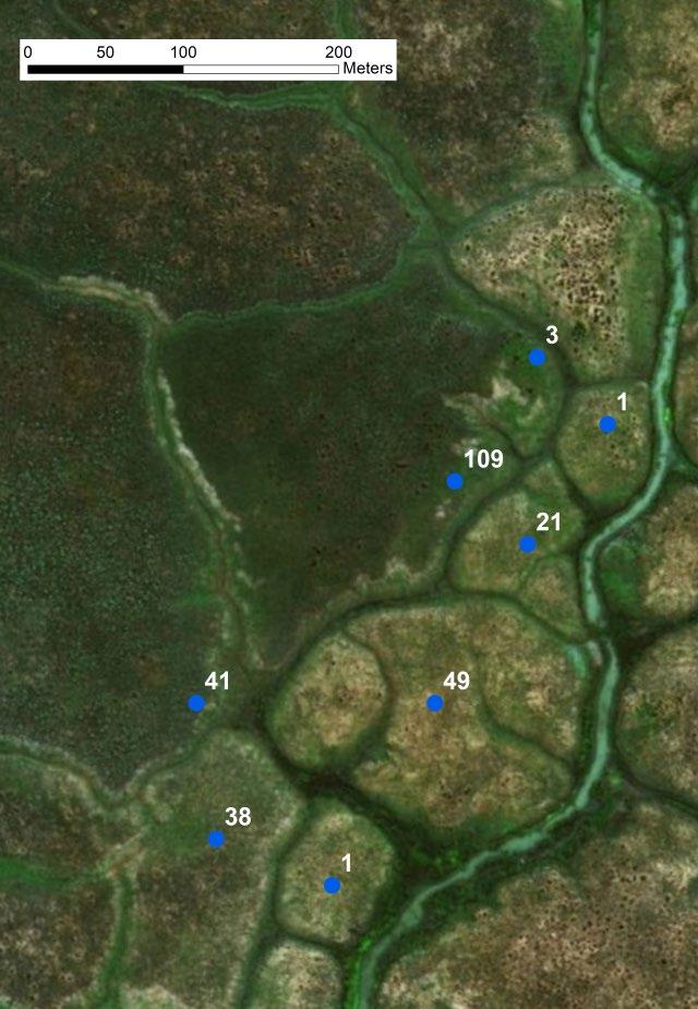 image to count waterbuck and to georeference