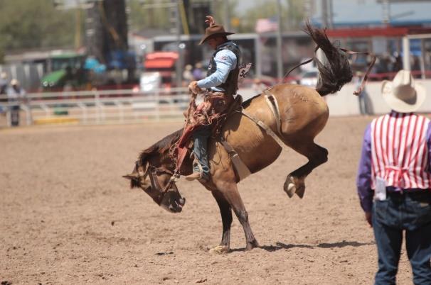 Cheyenne Frontier Days Rodeo,