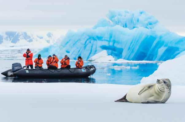 JOURNEY TO ANTARCTICA: THE WHITE CONTINENT 14 DAYS/11 NIGHTS ABOARD NATIONAL GEOGRAPHIC EXPLORER Guests in Zodiac photograph a crabeater seal.