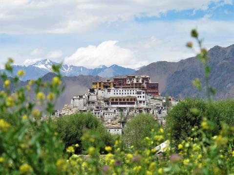 Following a tour of the house there will be a short presentation by a Ladakhi scholar on the architectural heritage of the old city.