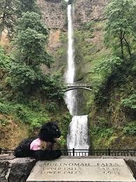 Multnomah Falls is Oregon s #1 visited natural attraction. The Falls plummets 620 feet and is the second highest in the nation.