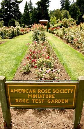 International Rose Test Garden: is a rose garden in Washington Park and within walking distance from the Portland Japanese Gardens.