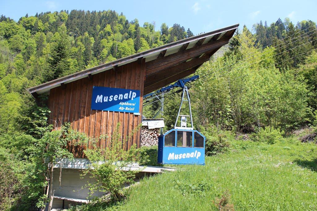 You then transfer over to the smaller 4-person Musenalpbahn gondola (meaning possible wait times) that does not run on a set schedule but rather on demand.
