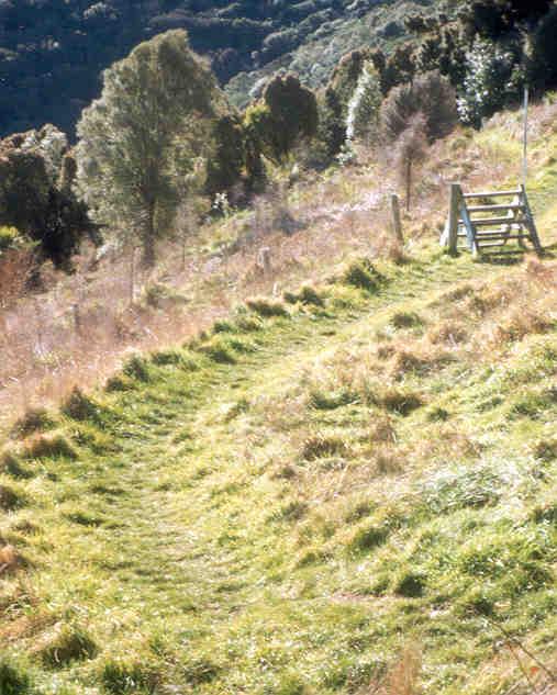 Although some of the reserves are fenced, many are not or are poorly fenced. A lot of new fencing can be seen at reserves such as Ahuriri Scenic Reserve and its neighbour Omahu.