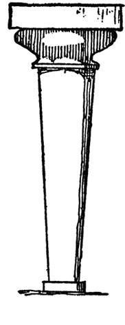 shaft with a bulbous torus