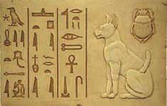 Ancient Egyptian Life Animal Worship 1 Cats were an important animal to people in ancient Egypt. The cat goddess Bast was worshipped for 3000 years or more up until 390 AD.