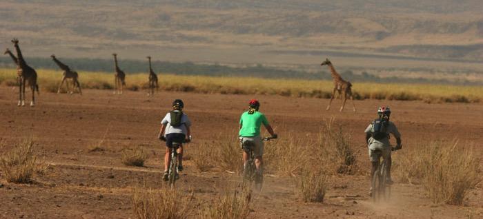 Multi-Activity Adventure Day 10: MTB Exped Ol Pejeta to Il Polei Camp Up early and game drive through Ol Pejeta Conservancy to the back gate where we start our life changing cycling challenge at 0730.