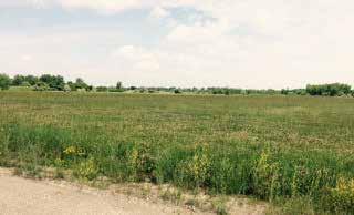 Saginaw Nodular Portion Under Contract This 226.83-acre property is vacant, and includes manufacturing and industrial zoning areas.