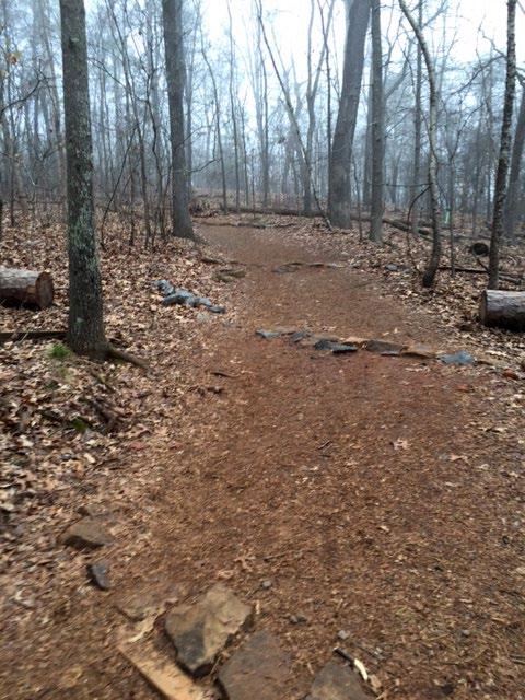 Okay, now from yesterday, 2/2/16. This is our old nemesis, the always rutted trail up Pigeon Hill, until now. Not one single rut anywhere.