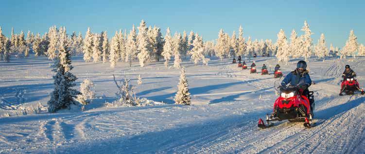 THE ITINERARY and breathe the fresh air of Lapland. Afterwards return to the city by snowmobile and enjoy a typical Christmas lunch in Kemi.