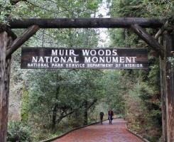 Pass by the Victorian houses, Civic Center, Union Square, Nob Hill, Cable Cars, Chinato. Day 03: San Francisco: Half Day Muir Woods and Sausalito Tour Today experience Muir Woods at your pace.