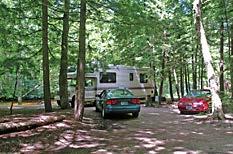 here at the campground! 45 sites. Full hookups. Partial sites. Wooded sites. Waterfront sites. Seasonal sites. 20/30/50 AMP service.