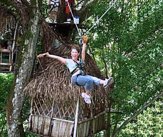 All this is enjoyable from the top of the trees, on the Zip line (Canopy tour) or the suspended bridges.