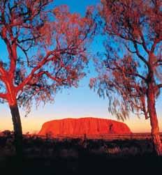 See ancient Aboriginal petroglyphs (rock engravings). Tour the base of Uluru on the guided Mutitjulu and Mala Walks, we ll also explore Kantju Gorge.