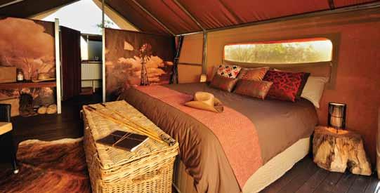 U APT Kimberley s APT s collection of wilderness lodges enable you to enjoy a true Outback experience without compromising your comfort.