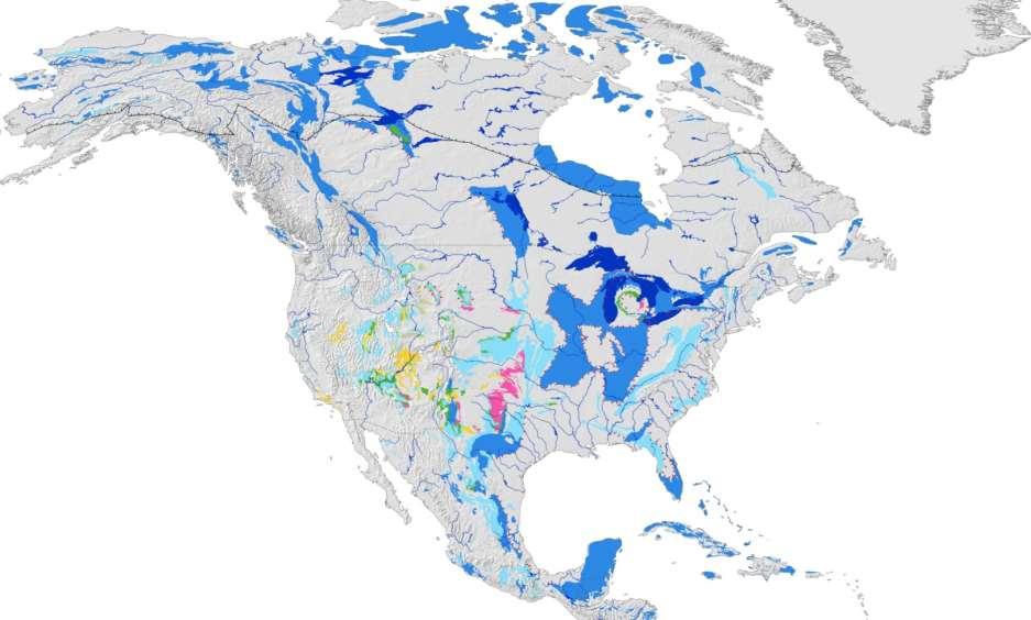 Karst Aquifer Map of North America Carbonate rocks in North America: