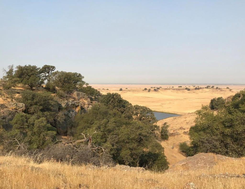 FOR SALE ±1,221 ACRES OF LAND SEC Highway 41 & 145 MADERA COUNTY, CALIFORNIA BOBBY FENA, SIOR 559 256 2436 bobby.fena@colliers.com License No. 00590204 JACK MESSINA 559 256 2442 jack.messina@colliers.