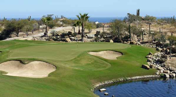 Views of the ocean from all 18 holes create a breathtaking backdrop for your round, while its undulating greens, change in elevation and dramatic bunkering make the Desert Course a distinguished
