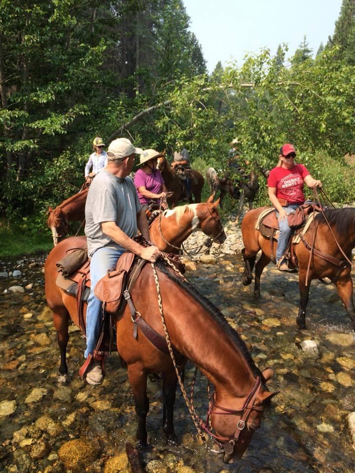 WILLOW CREEK TRAIL RIDE REPORT SUNDAY, JULY 15, 2018 Submitted by Linda Scoggins Mariposa Mountain Riders and guests enjoyed a great ride to Willow Creek.