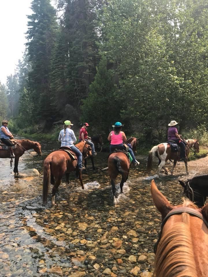 ! Stopped by an empty camp for lunch and a break for the horses where there was Plenty of water for nice easy water crossings for the horses to drink and play in (to the