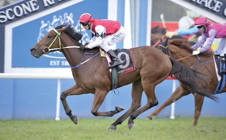 entertainment scene The Country Championships Pictured is Artlee winning the Yarraman Park-Horsepower Luskin Star Stakes at Scone on 14 May 2015.