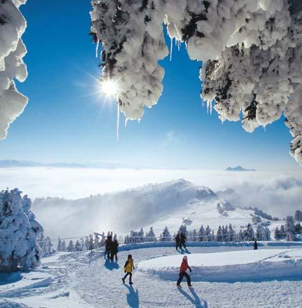 SWISS TRAVEL PASS Exploring Switzerland The Swiss Travel Pass All the holidays in this brochure include a Swiss Travel Pass.