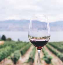 OVERNIGHT IN Seven Seas Voyager 14 May 2019 Deep in the Penedés region in the cellars of Jean Leon, sample some of Spain s most iconic wines.