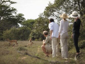 Expect the extraordinary andbeyond Phinda Forest Lodge andbeyond Phinda Private Game