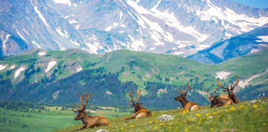 Tour Highlights Magnificent Beauty, Brilliant Hues & Rich History Rocky Mountain National Park We ride along Trail Ridge Road, cresting at an astounding 2,000 feet, and enjoy the majestic landscapes