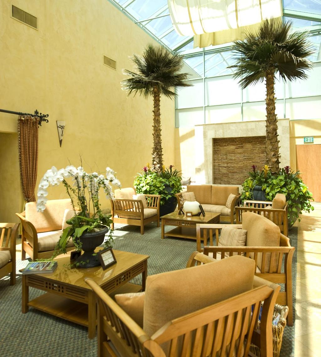 AMENITIES SERENITY ROOM Your wellness journey begins in the tranquil and awe-inspiring Serenity Room where you are surrounded by elegant palm trees and delightful sounds of a soothing waterfall.