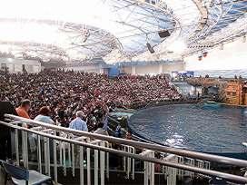 The main event we were here to see was a dolphin show.