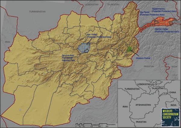 Areas in Afghanistan where Wildlife Conservation Society programs were undertaken are outlined in gray. Map: Wildlife Conservation Society.