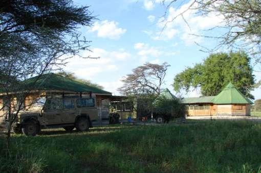 Field training expeditions This program will involve short one-day field expeditions to Tarangire and Manyara National parks, and a long four-day expedition to Serengeti National park.