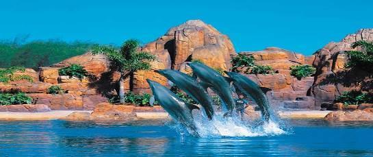 Tonight enjoy an Indian dinner at local restaurant. Movie World Day 10 Gold Coast We take you on a full day visit to Australia s most spectacular marine theme park, Sea World.