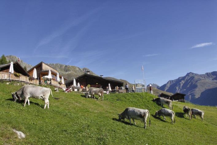 Gampe Thaya The traditional mountain lodge in the Oetztal Alps,