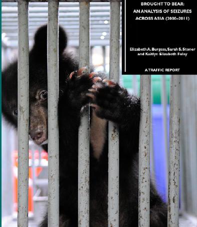 Situation Analysis related to WCC-2012- Rec-139: Bear farming in Asia, (conservation of wild populations) bear farming has significantly increased the availability of bear bile to meet the needs of