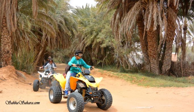 Ksar Ghilane is the most southern oasis in the Tunisian Sahara, covering
