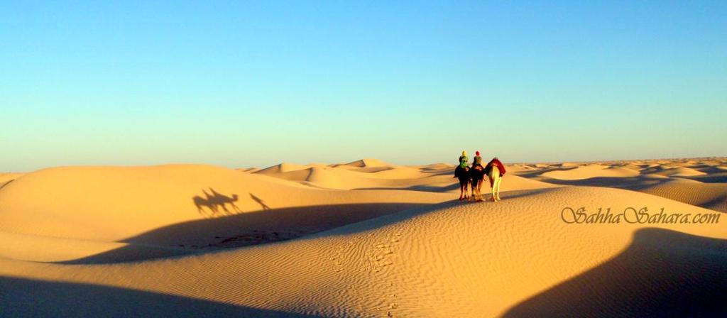 You will trek by camel into the desert with your Cameleers for a couple of hours.