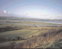 Clams, cockles, mussels and polychaete worms are common. Lough Swilly is one of the most important wetlands for birds in Ireland.
