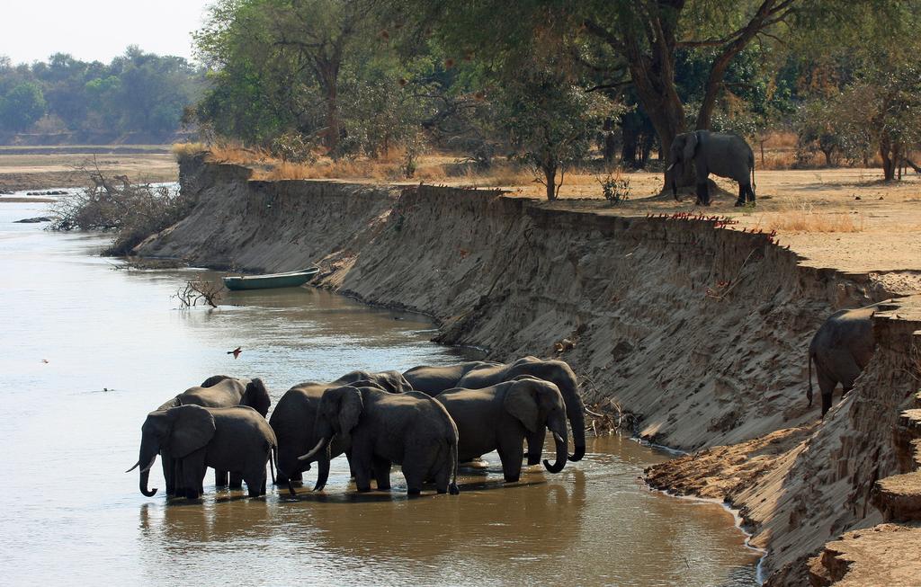 8 SOUTH LUANGWA NATIONAL PARK Lusaka is 250 kms