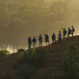 Our walking guests will encounter diverse wildlife and waterbirds along the river, creeks and old oxbow lagoons that meander through ancient redgum forests