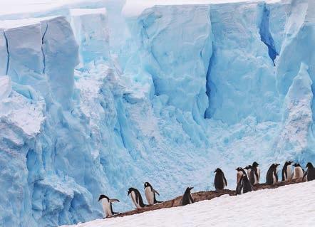ITINERARIES Crossing the Antarctic Circle 15 days DEPARTURE Feb 10 Feb 24, 2020 ISK Sailing in comfort aboard the luxurious and comfortable Island Sky, we begin this 14-night expedition at the tip of