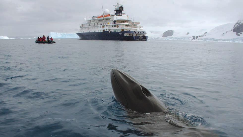 ITINERARIES Marine Mammals of The Antarctic Peninsula 14 days DEPARTURE Feb 27 Mar 11, 2020 HSK Join Annette Bombosch, PhD, and special guests for a unique 14-day expedition focusing on Marine
